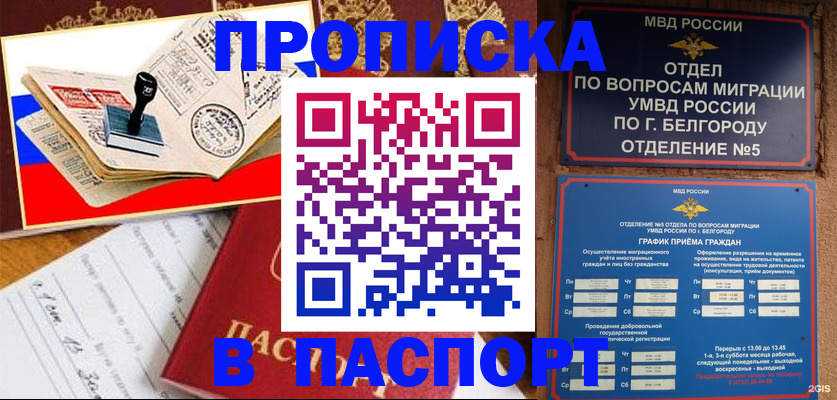 купить прописку в Могочи